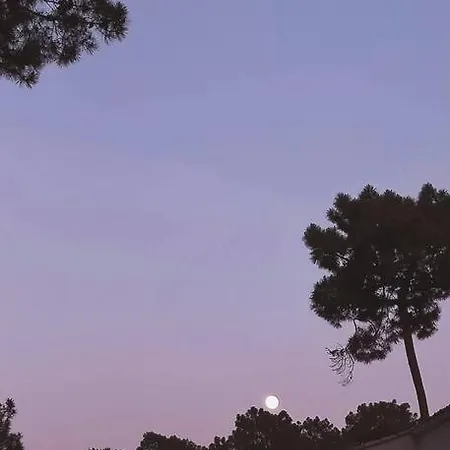 Parfum D'ete
